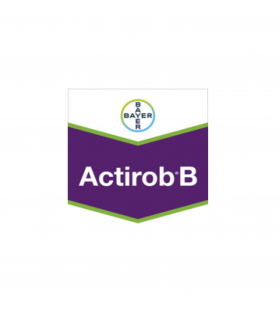 ACTIROB® B