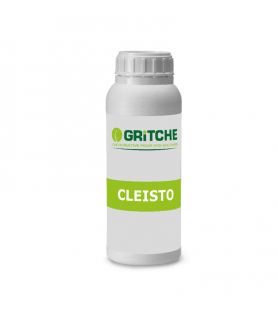 CLEISTO