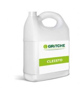 CLEISTO