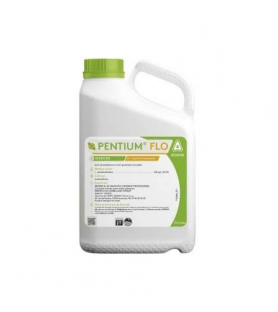 PENTIUM® FLO