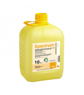 SPECTRUM®