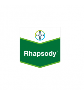 RHAPSODY®