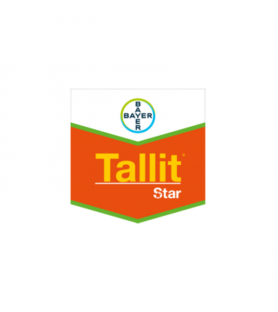 TALLIT® STAR