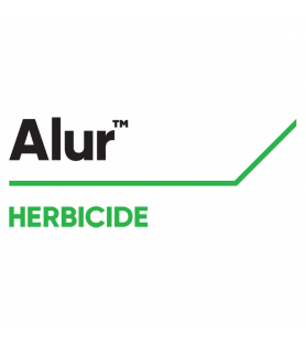 ALUR®