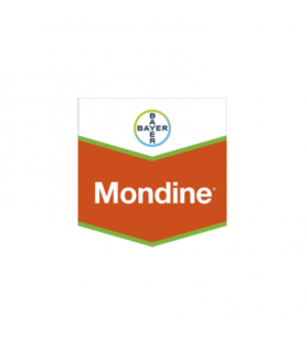 MONDINE®