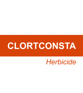 CLORTCONSTA®